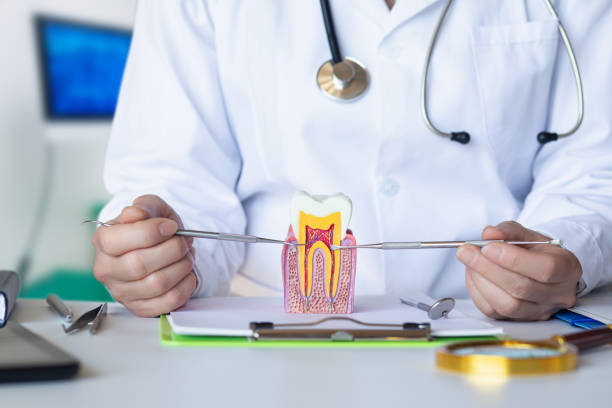 Best Urgent Dental Care for Toothache in Penn State Erie, PA